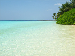 Fototapeta premium Tropical beach in Biyadhoo island, Maldives