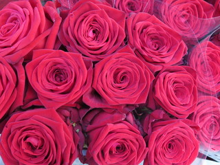 Red roses