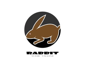 Rabbit Logo template vector icon illustration design