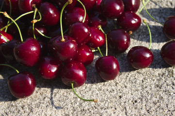 Kirschen nach der Ernte