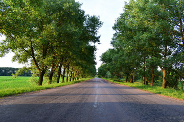 road in the countryside