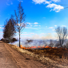 Fototapeta premium so the fields are burning in spring