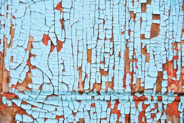 Wooden textured wall with peeling red and blue paint. Old painted rough scratches surface. Grunge structured abstract background. Destruction dyeing wall with blue and brown color cracks 