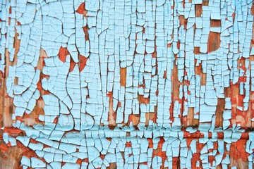 Fototapeta premium Wooden textured wall with peeling red and blue paint. Old painted rough scratches surface. Grunge structured abstract background. Destruction dyeing wall with blue and brown color cracks 
