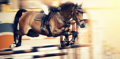 The brown horse overcomes an obstacle.Show jumping - 279620530