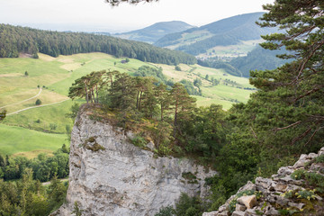 Fototapeta na wymiar view from top of ankenballen to the small ankenballen rock in switzerland, nice views. 