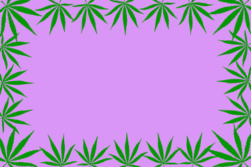  Frame of hemp leaves. Flat illustration, mock up, copy space.