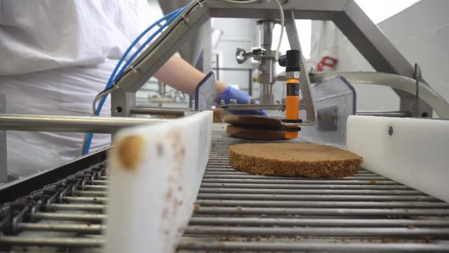 Line for the production of cakes, impregnation of the cake with syrup using automatic modern confectionery equipment, industry