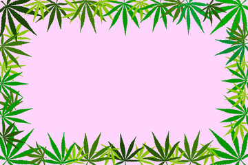  Frame of hemp leaves. Flat illustration, mock up, copy space.
