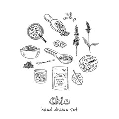 Chia hand drawn doodle set. Vector illustration. Isolated elements. Symbol collection.