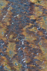 Macro image of the rocks in a Cornish Sea Cave