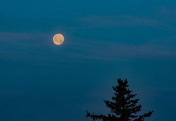full moon and clouds
