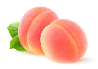 Isolated apricots. Two fresh pink apricot fruits isolated on white background with clipping path