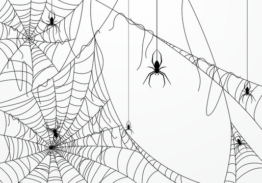 Halloween background design with black spider and torn web