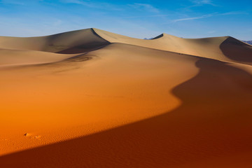 Fototapeta na wymiar Desert Sand Dunes ripples with sunrise blue sky, Death Valley California