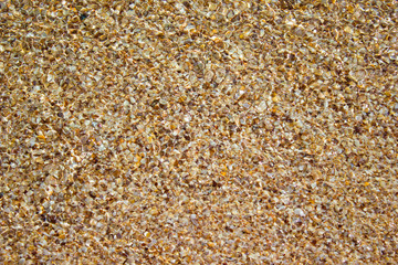 Shore beach water sea wave sand shells, background texture