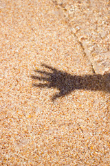 Sea water shadow from man's hand on sand background texture