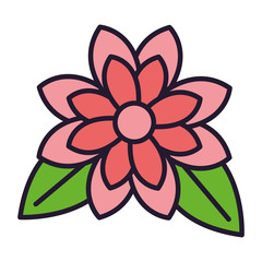 flower petals and leaves white background