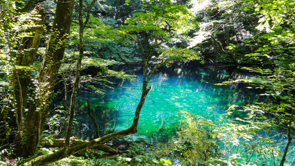 Juniko Twelve Lakes in the Shirakami-Sanchi mountainous area. A UNESCO World Heritage Site in the Tohoku region. Aomori Prefecture, Japan
