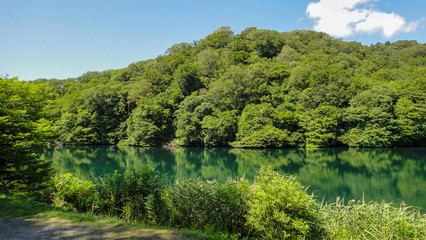 Fototapete bei efototapeten.de bestellen   