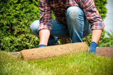 Installing turf rolls in the garden
