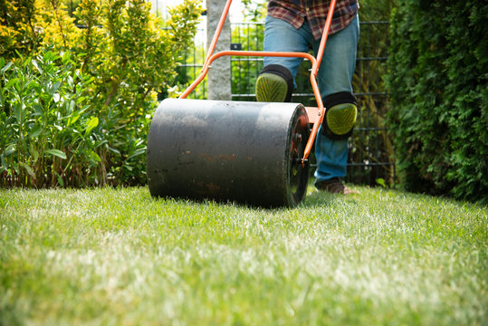 Installing turf rolls in the garden