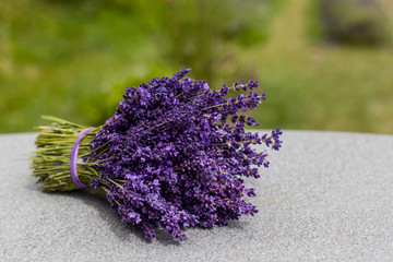Fresh purple lavender bouquet