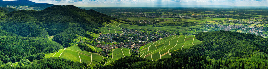 Wide hires panoramic landscape view of Black Forest vineyard valley, aerial