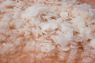 Rose water salt lake, extraction of sea salt - landscape background