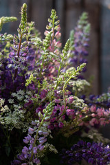 Obraz premium bouquet of wild lupins