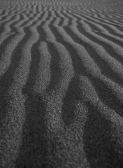 Fototapeta na wymiar pattern of sand detail in the beach