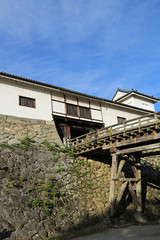 晩秋の彦根城堀端