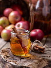 Glass of Apple Cider With Cinnamon Sticks