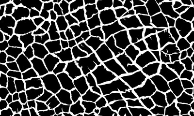 Fototapeta premium black white animal skin texture giraffe repeating seamless pattern print