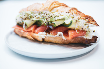 Sandwich with salmon on a white background