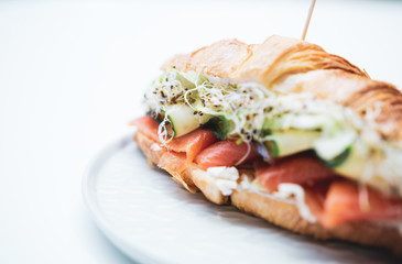 Sandwich with salmon on a white background