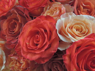 Roses of different colors in the bouquet.a festive bouquet of twenty-one flowers.