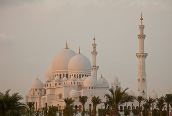 Fototapeta na wymiar Emirato de Abu Dabhi, Emiratos Árabes Unidos, Golfo Pérsico