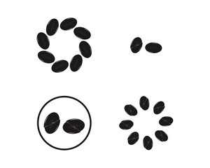vector coffee beans template vector icon illustration design