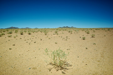 Typical Mongolian landscape
