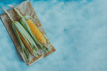 Corns on the Cob on bright background