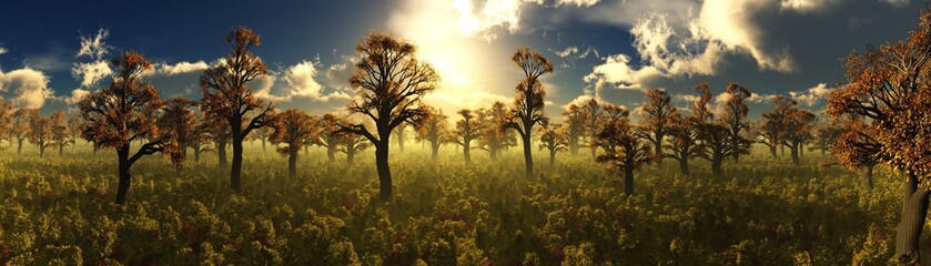 Obraz premium Panorama of the autumn park, trees in the morning fog in autumn