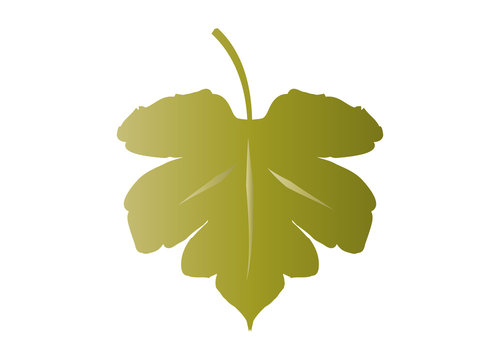 Feigenblatt