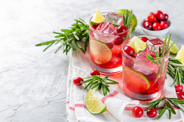 Cold season drink - cranberry and rosemary cocktail, copy space