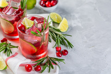 Cold season drink - cranberry and rosemary cocktail, copy space