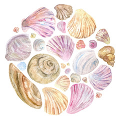 Watercolor shells in round composition. Isolated elements on white background