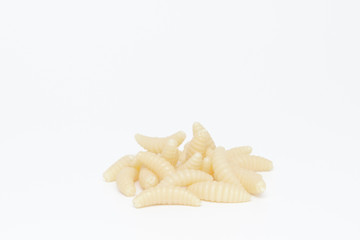 Artificial fishing larvae of insects on white background with soft shadow