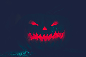 Fototapeta premium pumpkin for Halloween on a dark background close-up