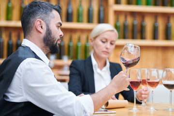 Contemporary cavist checking quality and characteristics of new sorts of wine