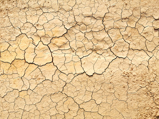 Light brown soil with cracked pattern